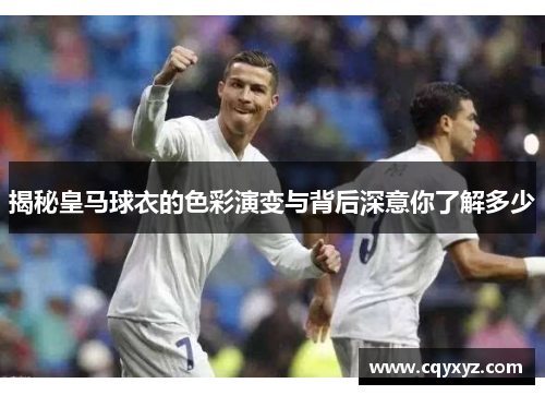 揭秘皇马球衣的色彩演变与背后深意你了解多少